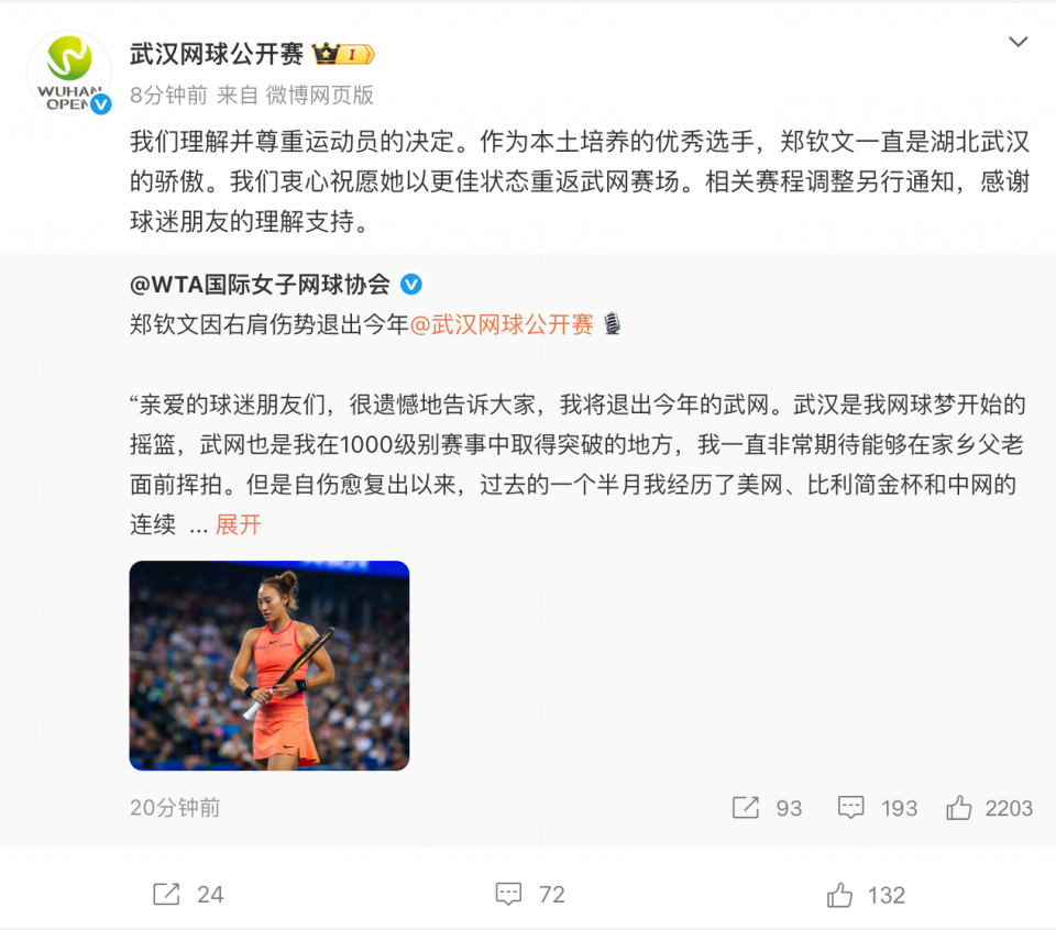 bw西汉姆联案例展示