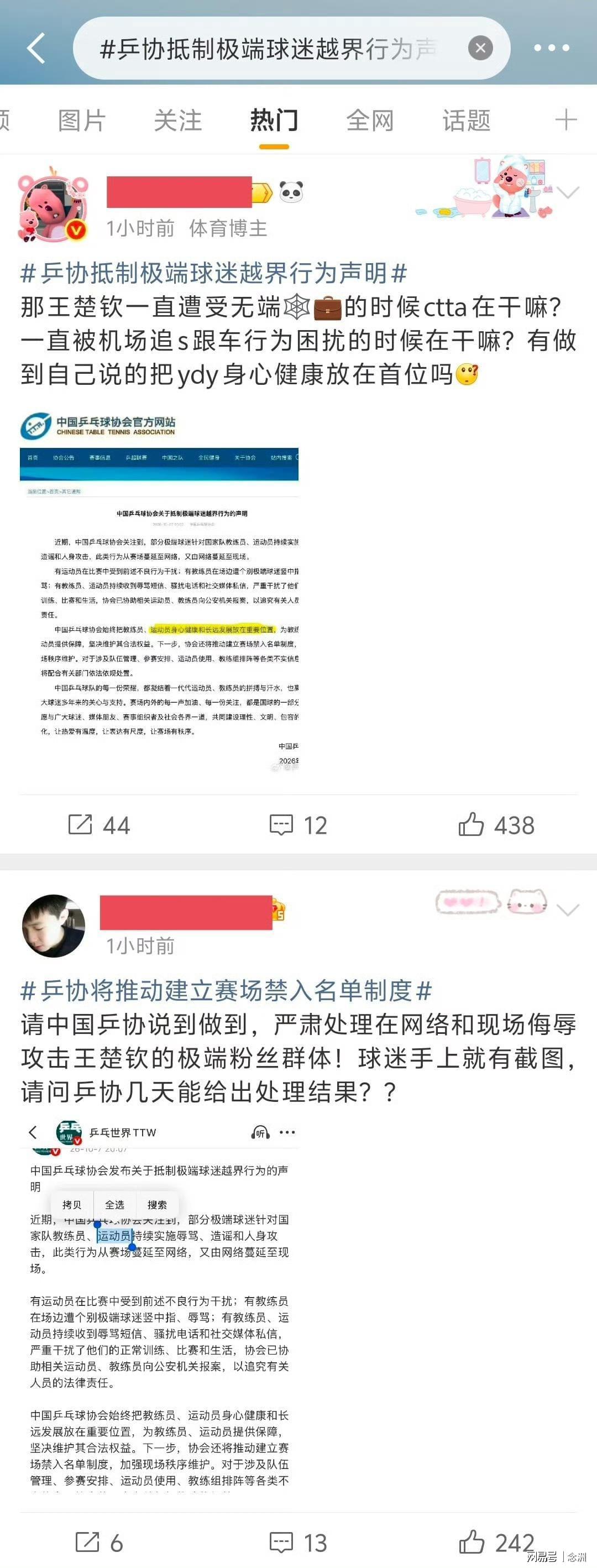 bw西汉姆联图片展示