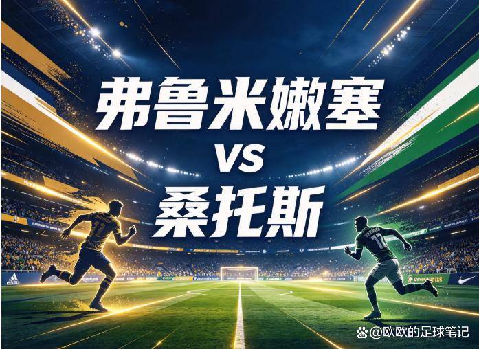 bw西汉姆联案例展示